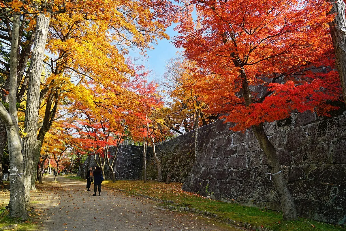 紅葉した木々に囲まれた盛岡城跡の石垣