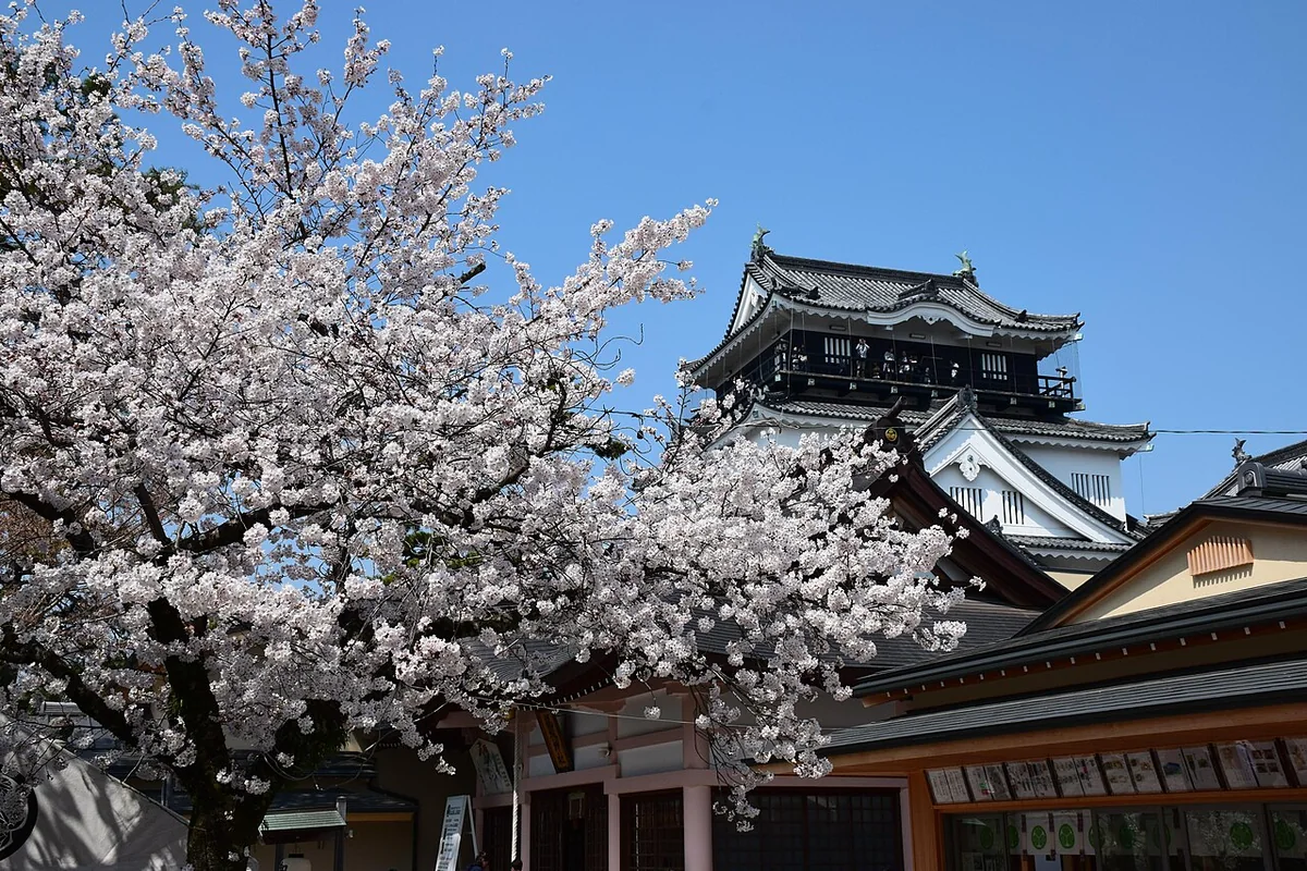 桜の向こうに見える岡崎城の天守