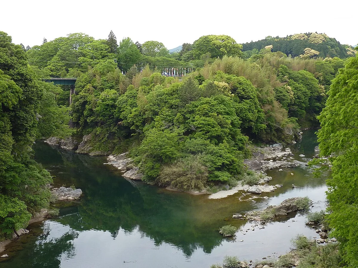 川に囲まれた長篠城跡の地形